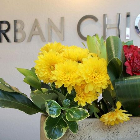 Urban Chic Boutique Hotel & Cafe Kapstaden Exteriör bild